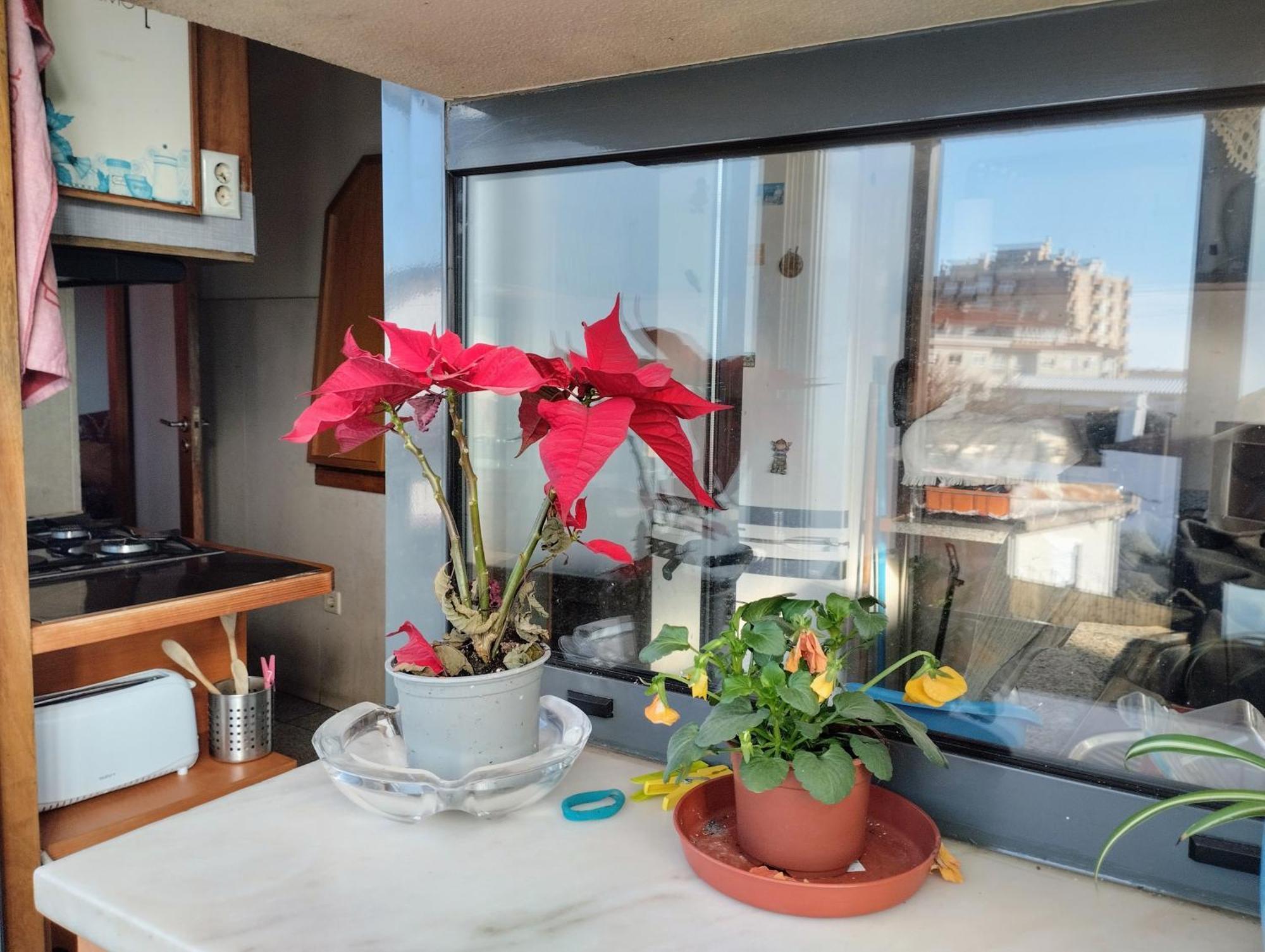 Sweets Suites Espinho Экстерьер фото